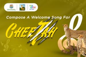 Compose a Welcome Song For Cheetah